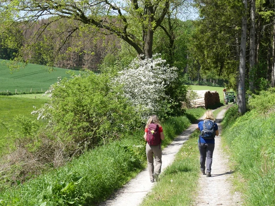 Zwei Wanderer gehen einen schmalen Pfad entlang, flankiert von Bäumen und blühenden Sträuchern.