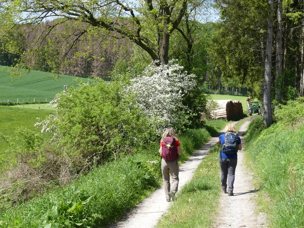 Merschetal Zwei Wanderer gehen einen schmalen Pfad entlang, flankiert von Bäumen und blühenden Sträuchern.