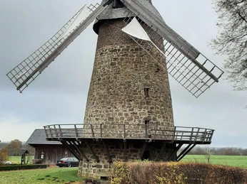 Historische Windmühle aus Stein in ländlicher Umgebung mit großen Holzflügeln, umgeben von Bäumen.