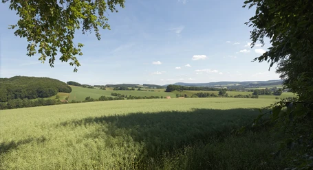Landschaft bei Burg Sternberg CC BY-SA - LTM.jpg