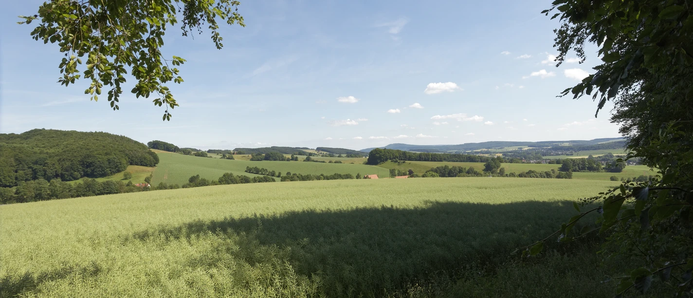 Landschaft bei Burg Sternberg CC BY-SA - LTM.jpg