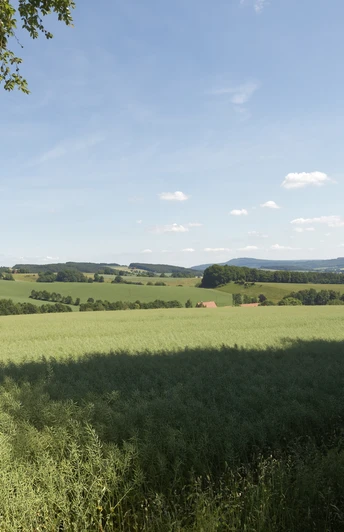 Landschaft bei Burg Sternberg CC BY-SA - LTM.jpg