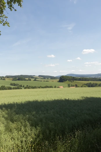 Landschaft bei Burg Sternberg CC BY-SA - LTM.jpg