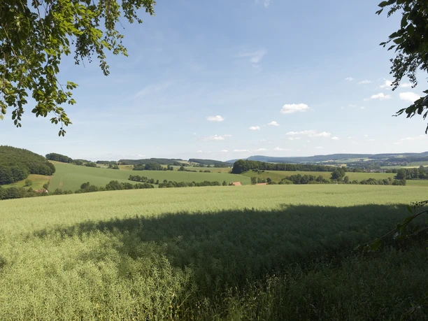 Landschaft bei Burg Sternberg CC BY-SA - LTM.jpg