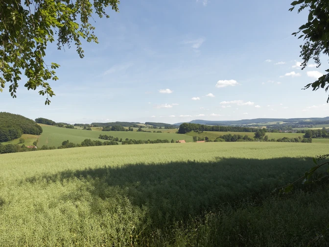 Landschaft bei Burg Sternberg CC BY-SA - LTM.jpg