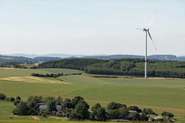 Mühle und Windrad Kleeberg CC BY-SA - LTM.jpg