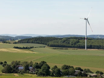 Mühle und Windrad Kleeberg CC BY-SA - LTM.jpg