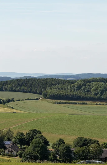 Mühle und Windrad Kleeberg CC BY-SA - LTM.jpg