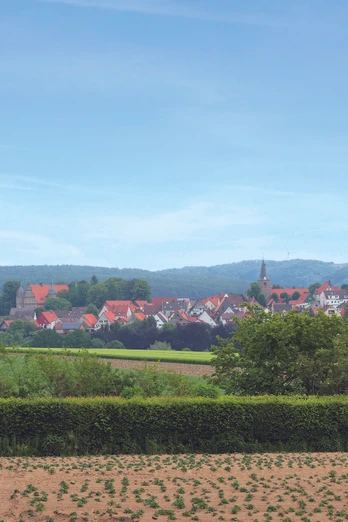 Blick auf Barntrup CC BY-SA - LTM.tif