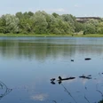 Padersee mit HeinzNixdorf MuseumsForum Teich mit Enten, umgeben von grünen Bäumen. Im Hintergrund sieht man das Museumsforum-Gebäude.