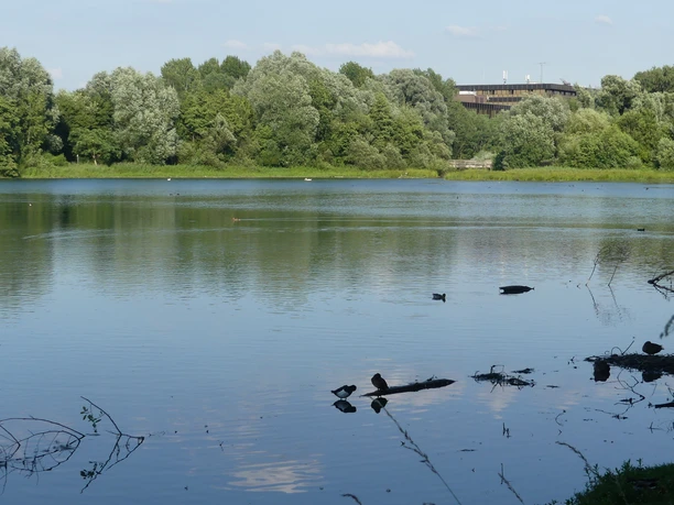 Padersee mit HeinzNixdorf MuseumsForum Teich mit Enten, umgeben von grünen Bäumen. Im Hintergrund sieht man das Museumsforum-Gebäude.
