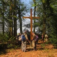 Pestfriedhof im Mittelholz Holzkreuz umgeben von Wanderern, umgeben von Bäumen und Laub im Wald des Pestfriedhofs im Mittelholz.