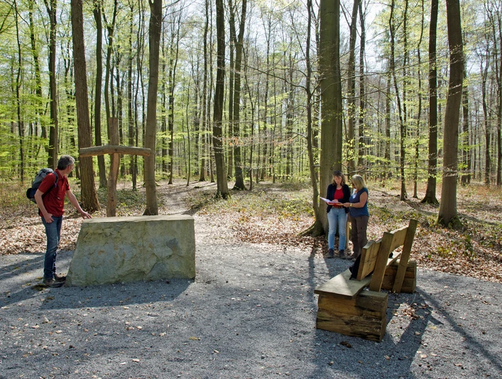 Ein herbstlicher Wald mit zwei Personen beim Gespräch und einer Person an einem Naturdenkmal.