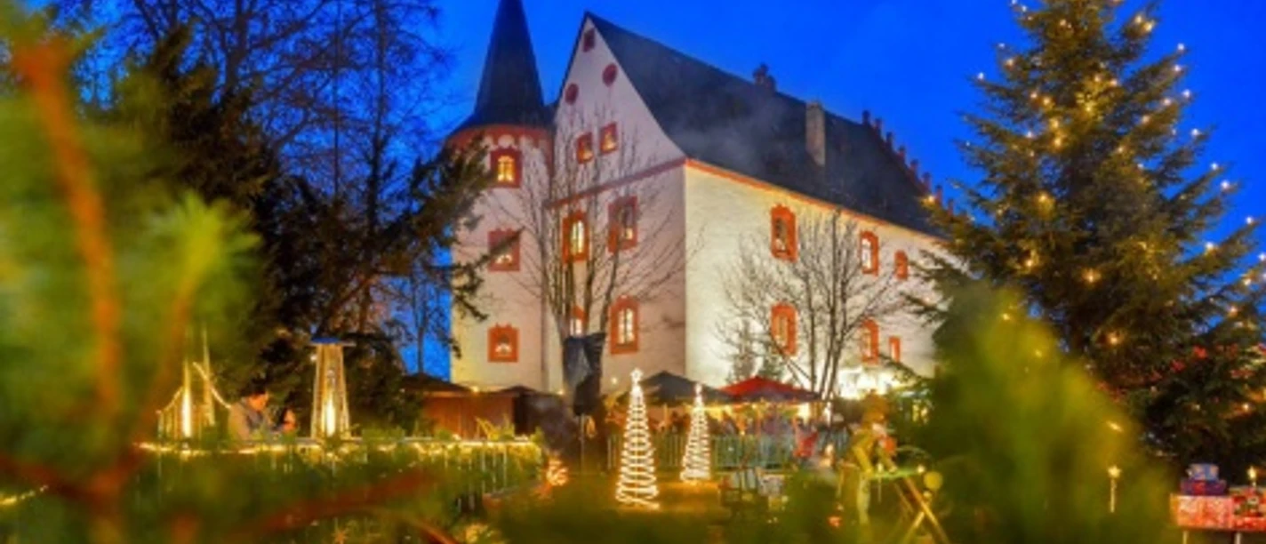 thumb_6181_Schloss_Voigtsberg_in_der_Weihnachtszeit.png Schloss Voigtsberg beleuchtet zur Weihnachtszeit, umgeben von geschmückten Tannenbäumen.