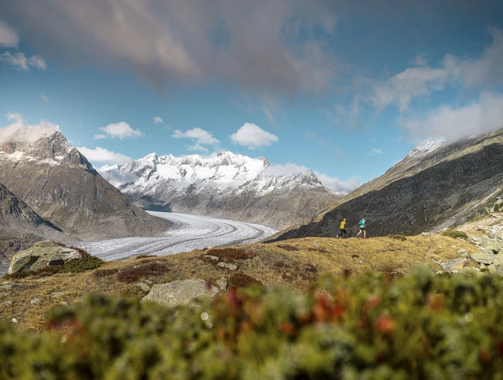 Stonemanhike in der Aletsch Arena Stonemanhike in der Aletsch Arena