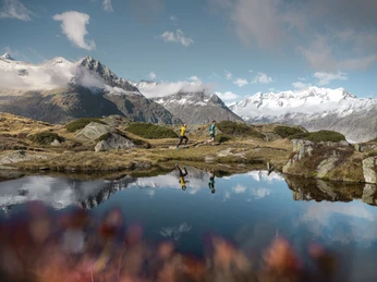 Stonemanhike in der Aletsch Arena Stonemanhike in der Aletsch Arena