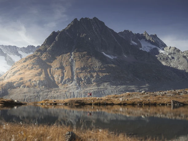 Herbstwanderung am Grossen Aletschgletscher