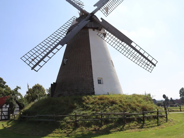 Eine historische Windmühle mit weißem Turm und großen Flügeln, umgeben von grüner Wiese.