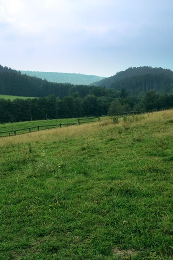 Rundwanderung Marschallshagen | Lichtenau Rundwanderung Marschallshagen | Lichtenau