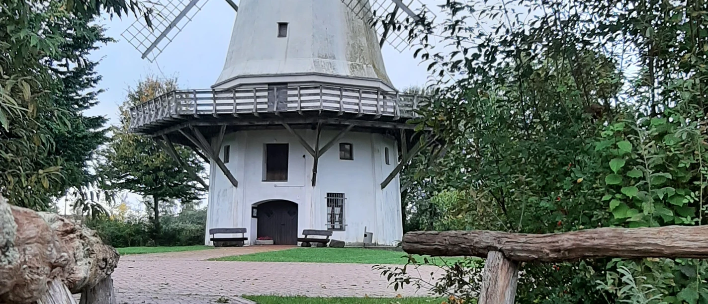 Weiße Windmühle mit hölzernem Rundgang, von Bäumen umgeben, auf einem Schotterweg erreichbar.