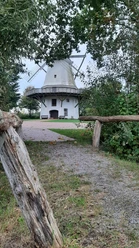 Hochzeitsmühle Tonnenheide Weiße Windmühle mit hölzernem Rundgang, von Bäumen umgeben, auf einem Schotterweg erreichbar.