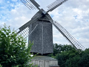 Bockwindmühle Wehe Bockwindmühle Wehe: Historische Mühle mit Holzschindeln, vier Flügeln, umgeben von grüner Landschaft.