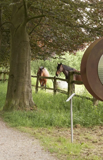 Mühlensteine CC BY-SA - LTM.jpg