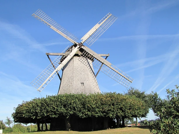 Historische Windmühle mit vier großen Flügeln, umgeben von Bäumen unter klarblauem Himmel.