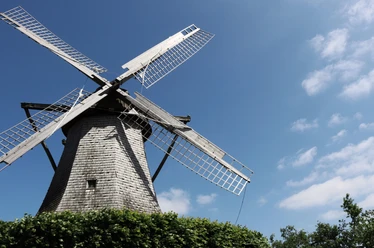 Historische Windmühle mit großen Flügeln, umgeben von grünem Laub, blauer Himmel im Hintergrund.