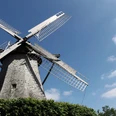 Historische Windmühle mit großen Flügeln, umgeben von grünem Laub, blauer Himmel im Hintergrund.