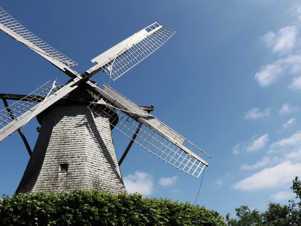 Historische Windmühle mit großen Flügeln, umgeben von grünem Laub, blauer Himmel im Hintergrund.