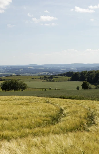 Landschaft am Kleeberg CC BY-SA - LTM.jpg