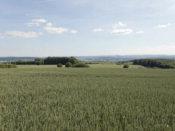 Landschaft am Kleeberg 4 CC BY-SA - LTM.jpg