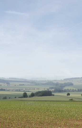 Landschaft bei Alverdissen CC BY-SA - LTM.jpg