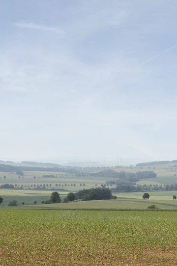 Landschaft bei Alverdissen CC BY-SA - LTM.jpg