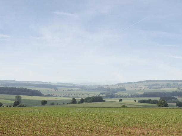 Landschaft bei Alverdissen CC BY-SA - LTM.jpg