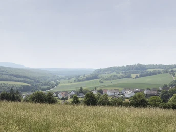 Landschaft bei Sonneborn CC BY-SA - LTM.jpg