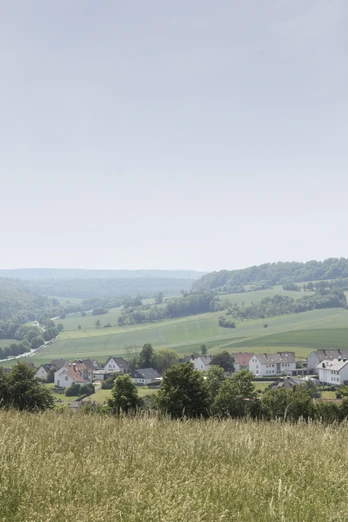 Landschaft bei Sonneborn CC BY-SA - LTM.jpg