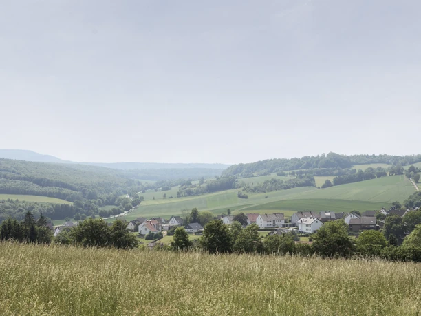 Landschaft bei Sonneborn CC BY-SA - LTM.jpg