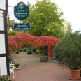 Gasthaus Schulenburg Eingang eines Gasthauses mit Schild, herbstlichem Laub, Fahrradständer und blühenden Pflanzen.