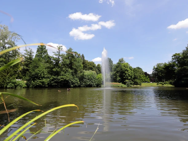 084HR - Wiesbaden - Kurpark Teich.JPG