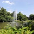 Wiesbaden Teich im Kurpark