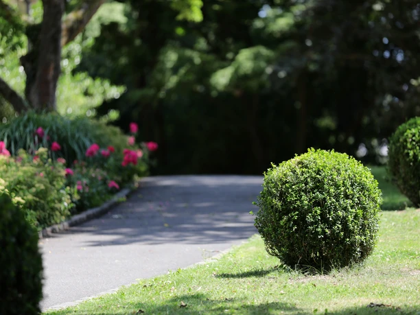 098HR - Wiesbaden - Kurpark.JPG