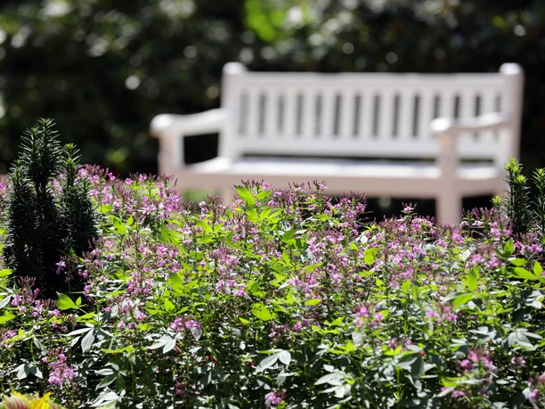 102HR - Wiesbaden - Kurpark.JPG