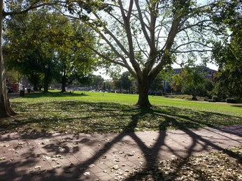 195EA - Wiesbaden - Kurpark.jpg