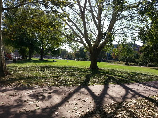 195EA - Wiesbaden - Kurpark.jpg