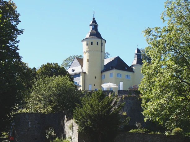 Schloss Homburg Gelbes Schloss mit Turm, umgeben von Bäumen, auf einem Hügel unter blauem Himmel.