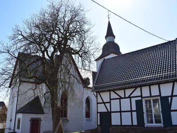 1000 jährige Kirche Historische Dorfkirche mit Fachwerkgebäude und einem großen, kahlen Baum im Vordergrund.
