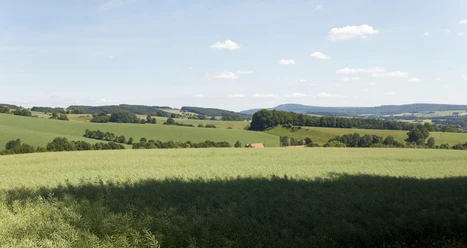 Landschaft bei Sternberg 2 CC BY-SA - LTM.jpg