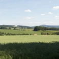 Landschaft bei Sternberg 2 CC BY-SA - LTM.jpg